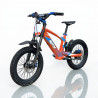 Bicicleta eléctrica sin pedales 500W RFN Evo Racing 18"