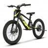Bicicleta eléctrica IMR SHARK 20" 550W 7.8Ah | Potente, ágil y compacta Bicicleta eléctrica IMR SHARK 20" 550W 7.8Ah | Potente, ágil y compacta