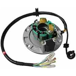 Encendido Completo Z155 – Repuesto Original para Motor 155cc Pit Bike