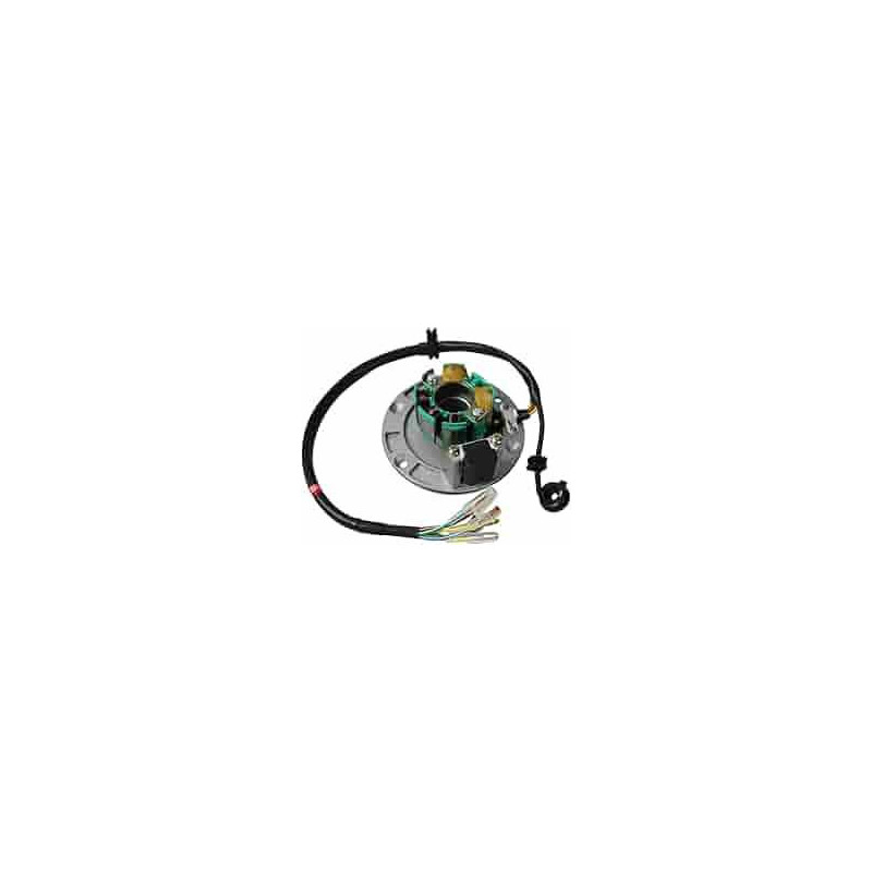 Encendido Completo Z155 – Repuesto Original para Motor 155cc Pit Bike Encendido Completo Z155 – Repuesto Original para Motor 155cc Pit Bike