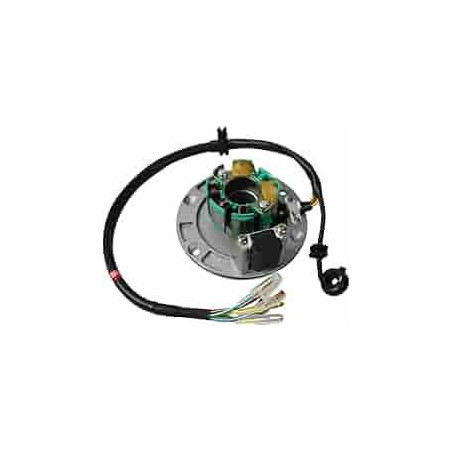 Encendido Completo Z155 – Repuesto Original para Motor 155cc Pit Bike