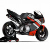 MIR Racing GP10 110 | Minimoto Competición 110cc para Jóvenes Pilotos MIR Racing GP10 110 | Minimoto Competición 110cc para Jóvenes Pilotos