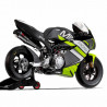 MIR Racing GP12 155 | Moto GP Minimoto 155cc de Competición MIR Racing GP12 155 | Moto GP Minimoto 155cc de Competición
