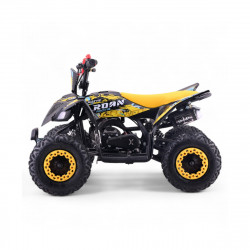 Mini quad gasolina 49cc Roan Ratte R6 Potencia y diversión para niños