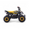 Mini quad gasolina 49cc Roan Ratte R6 Potencia y diversión para niños