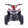 Mini quad gasolina 49cc Roan Ratte R6 Potencia y diversión para niños