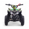 Mini quad gasolina 49cc Roan Ratte R6 Potencia y diversión para niños