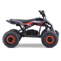 MINIQUAD ELECTRICO IMR WR1300 LITIO