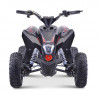 MINIQUAD ELECTRICO IMR WR1300 LITIO