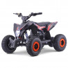 MINIQUAD ELECTRICO IMR WR1300 LITIO
