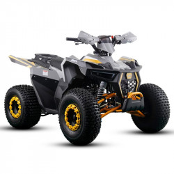 MINIQUAD IMR RAPTOR 125CC 4T SEMI-AUTOMATICO