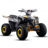 MINIQUAD IMR RAPTOR 125CC 4T SEMI-AUTOMATICO