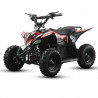 Miniquad Eléctrico IMR BULL 1000W – Potencia y diversión para niños Miniquad Eléctrico IMR BULL 1000W – Potencia y diversión para niños